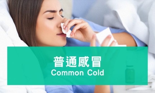 胃肠型感冒能吃头孢吗-胃肠感冒头孢克肟颗粒网—知名的肠胃型感冒可以吃头孢吗网站,分享肠胃型感冒可以吃头孢吗知识