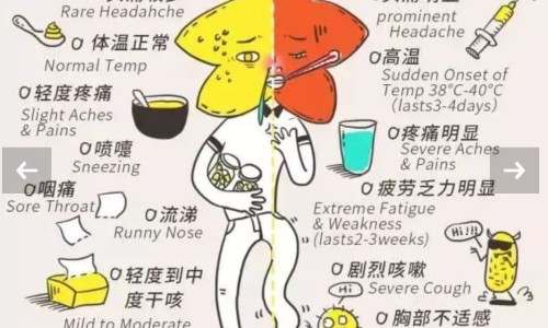 胃肠型感冒能吃头孢吗-胃肠感冒头孢克肟颗粒网—知名的肠胃型感冒可以吃头孢吗网站,分享肠胃型感冒可以吃头孢吗知识